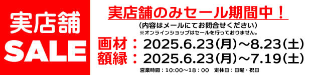 XSALEm点